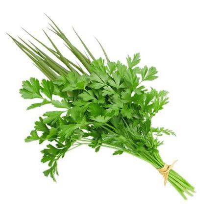 CHEIRO VERDE UN NATUVERDE