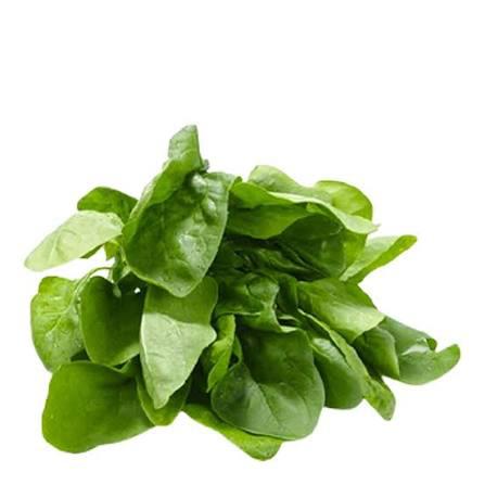 ESPINAFRE UN NATUVERDE