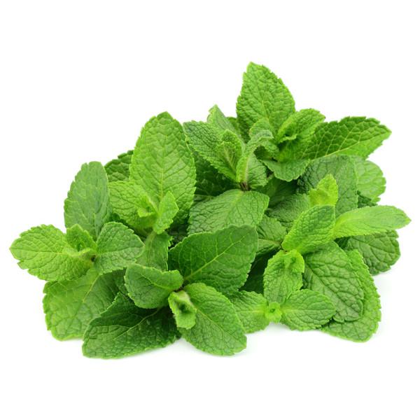 HORTELA UN NATUVERDE