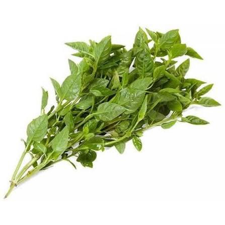 MANJERICAO UN NATUVERDE