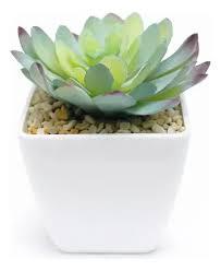 MINI ARRANJO SUCULENTA PLAST R501 DCASA