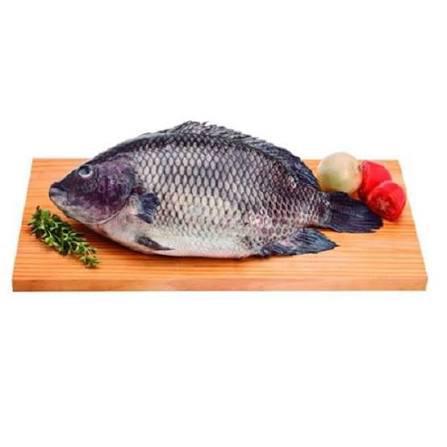 PEIXE CARA TILAPIA POSTA KG