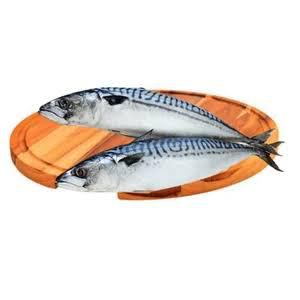 PEIXE CAVALINHA KG FRIG