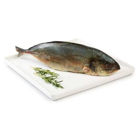 PEIXE XERELETE KG FRIG