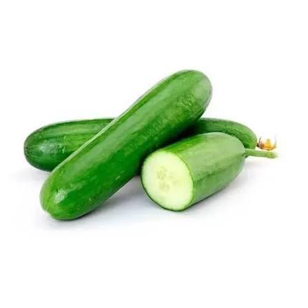 PEPINO VERDE KG CEASA