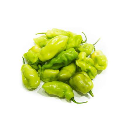 PIMENTA DE CHEIRO KG CEASA