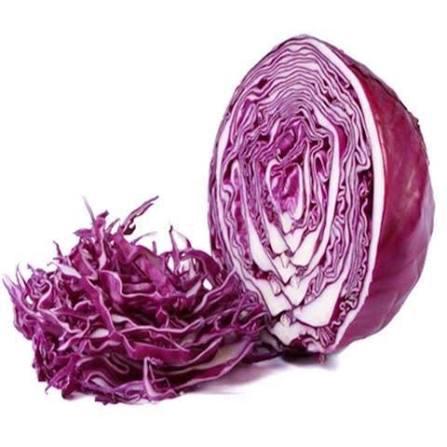 REPOLHO ROXO KG CEASA