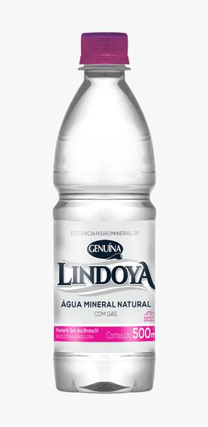 AGUA MINERAL LINDOYA C/GAS