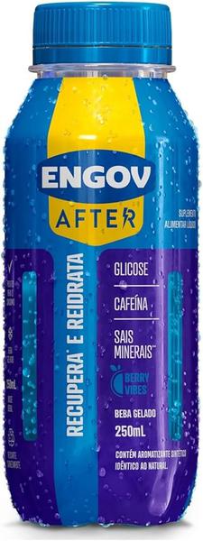 BEBIDA ENGOV AFTER BERRY VIBES