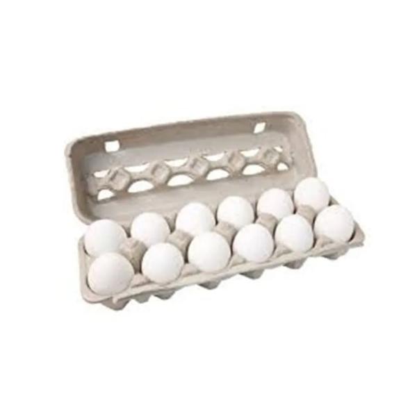 OVOS KATAYAMA BRANCO