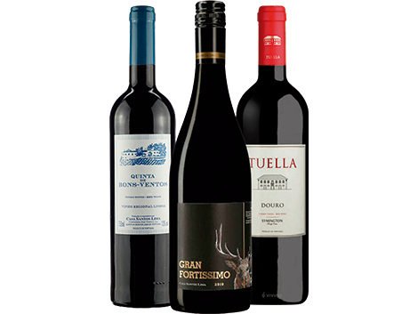COMBO TTO TUELA, GRAN FORTISSIMO E BONS VENTOS
