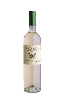 VINHO BRNACO SANTA MARIA  DE APALTA SAUVIGNON BLANC 750ML