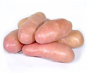 BATATA ASTERIX kg