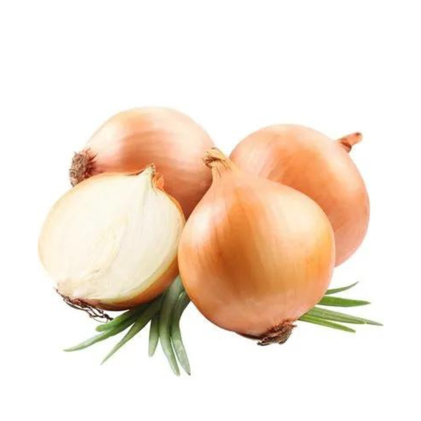 CEBOLA KG