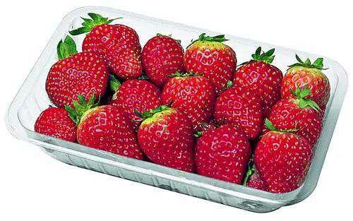 MORANGO BANDEJA CADA