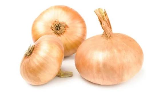 CEBOLA BRANCA KG INATURA