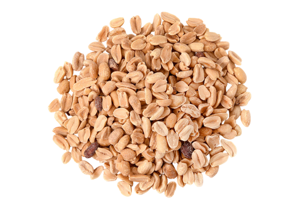 Amend C/ Sal Megamix Kg