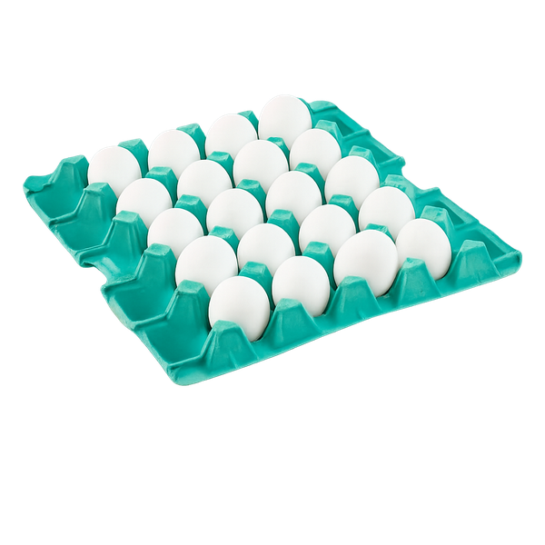 Ovos Brancos Extra C/20