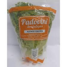 ALFACE CRESPA HID.PEDRO PADOVINI UN