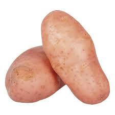 BATATA ASTERIX KG