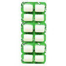CHICLETE FLICS HORTELA 17G