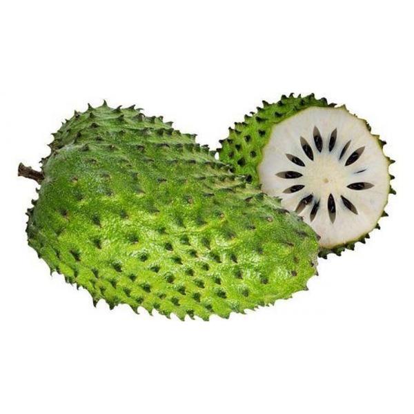 GRAVIOLA KG