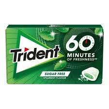 TRIDENT 60 MINUTOS PEPPERMINT FLAVOUR 20G