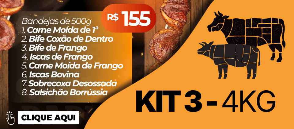 DESKTOP kitcarne3