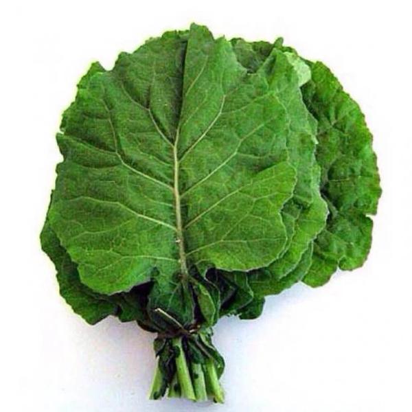 COUVE VERDE MOLHO