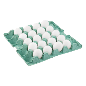 OVOS 20UN BRANCO