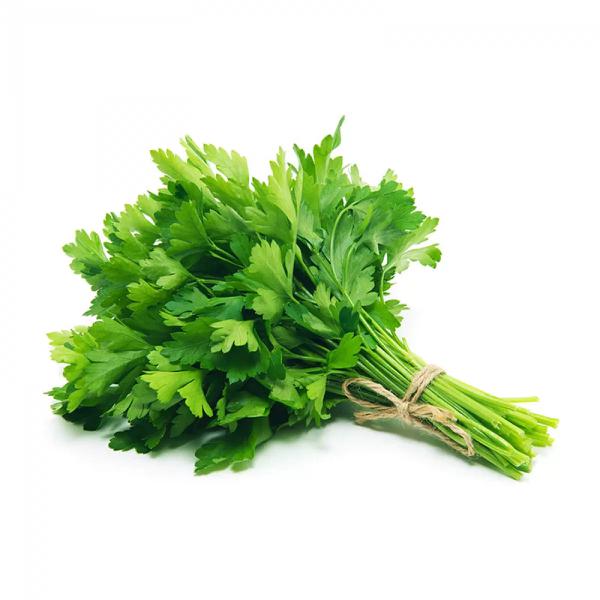 SALSA UN