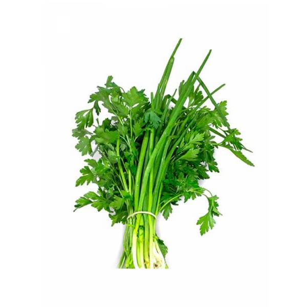 TEMPERO VERDE MOLHO UN