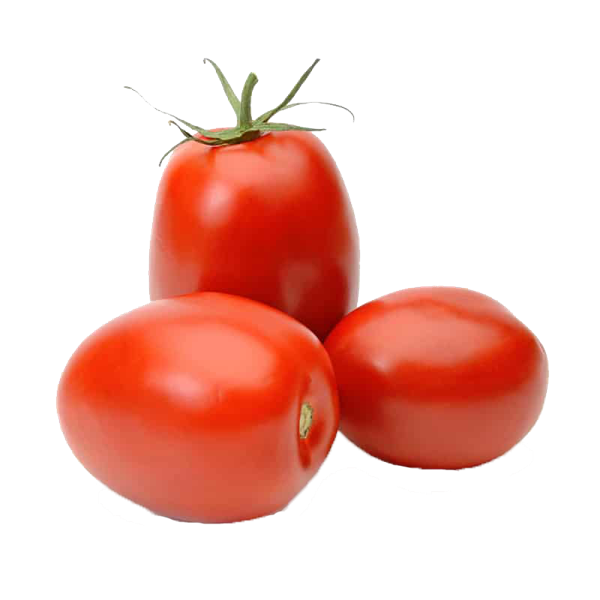 TOMATE RASTEIRO SOLTO KG