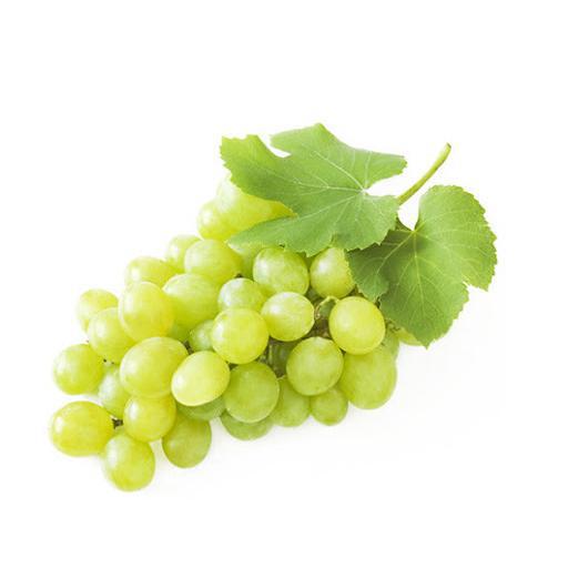 UVA ITALIA BRANCA KG