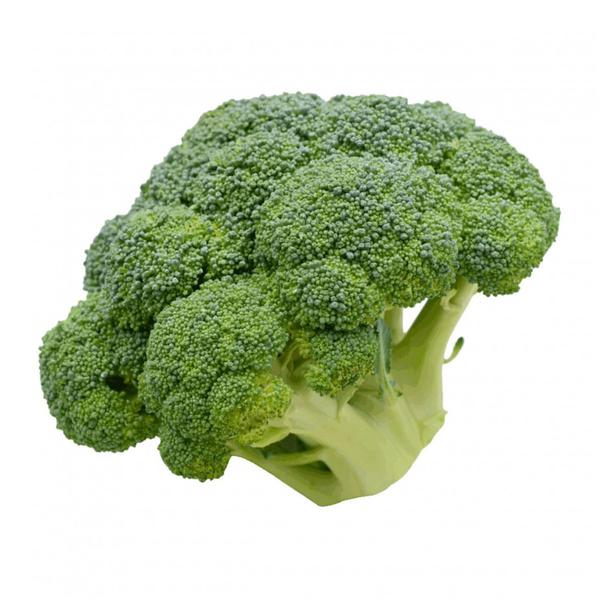 BROCOLIS NINJA 