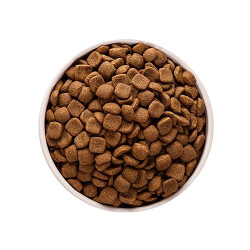 RACAO GRAO VERDE CACHORRO ADULTO KG