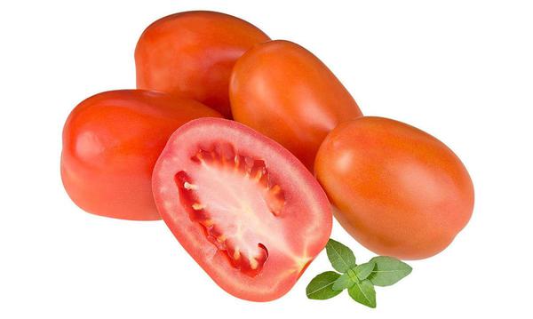 TOMATE KG