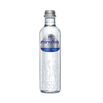 Água Mineral S/Gas Gf 300ml
