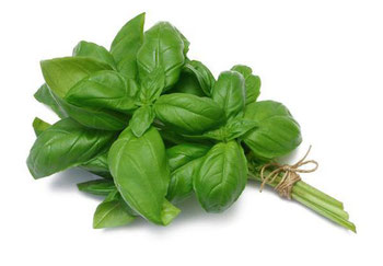 Agriao Un Alfa Verde