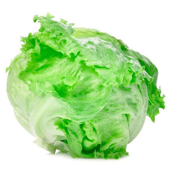 Alface Americano Hidroponico Un Grupo Verde