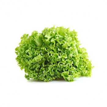 Alface Crespo Organico Un Coisas Do Campo