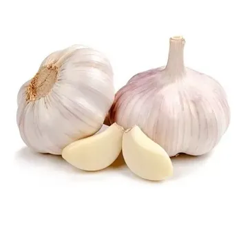 Alho Fresco Kg Ceasa