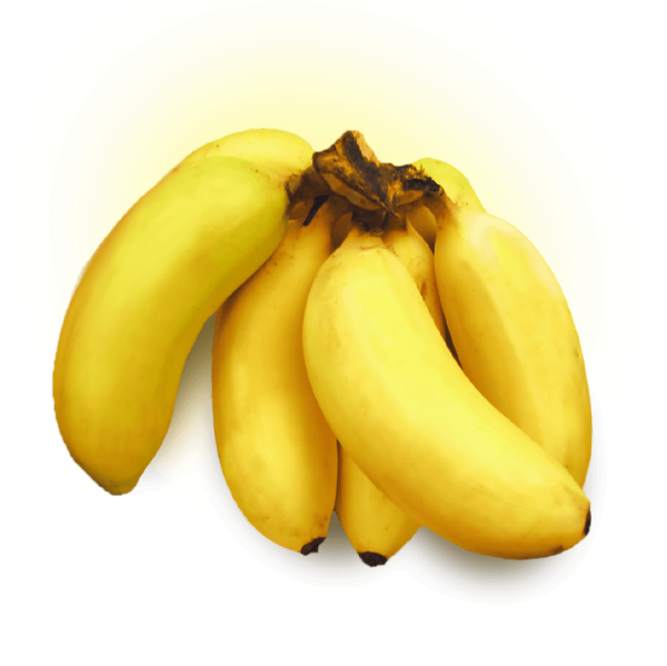 Banana Maca Kg Melhorada Ceasa