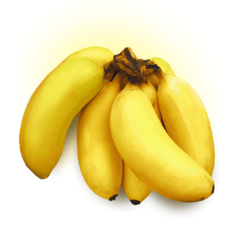 Banana Maca Kg Melhorada Ceasa