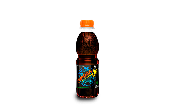 Bebida Mista 200ml Pet Guaranup
