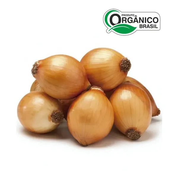 Cebola Organica Kg