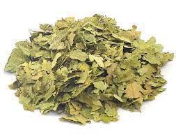 Cha Graviola 30g Nilnutri