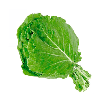 Couve Folha Un Alfa Verde