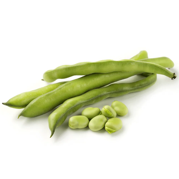 Feijao Verde Kg H&G
