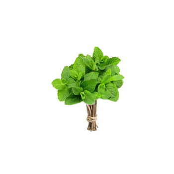 Hortela Organico Un Ceasa